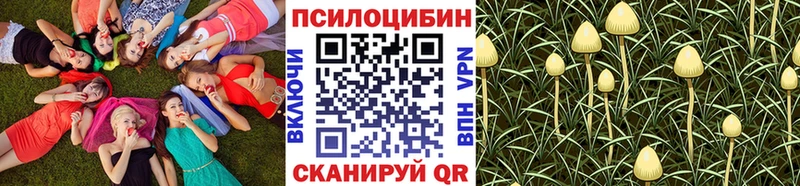 что такое наркотик  кракен ссылки  Галлюциногенные грибы GOLDEN TEACHER  Бугуруслан 